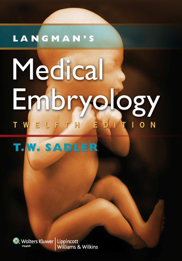 Langmans Medical Embryology 12th Edi.